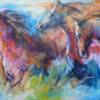 Horses  
